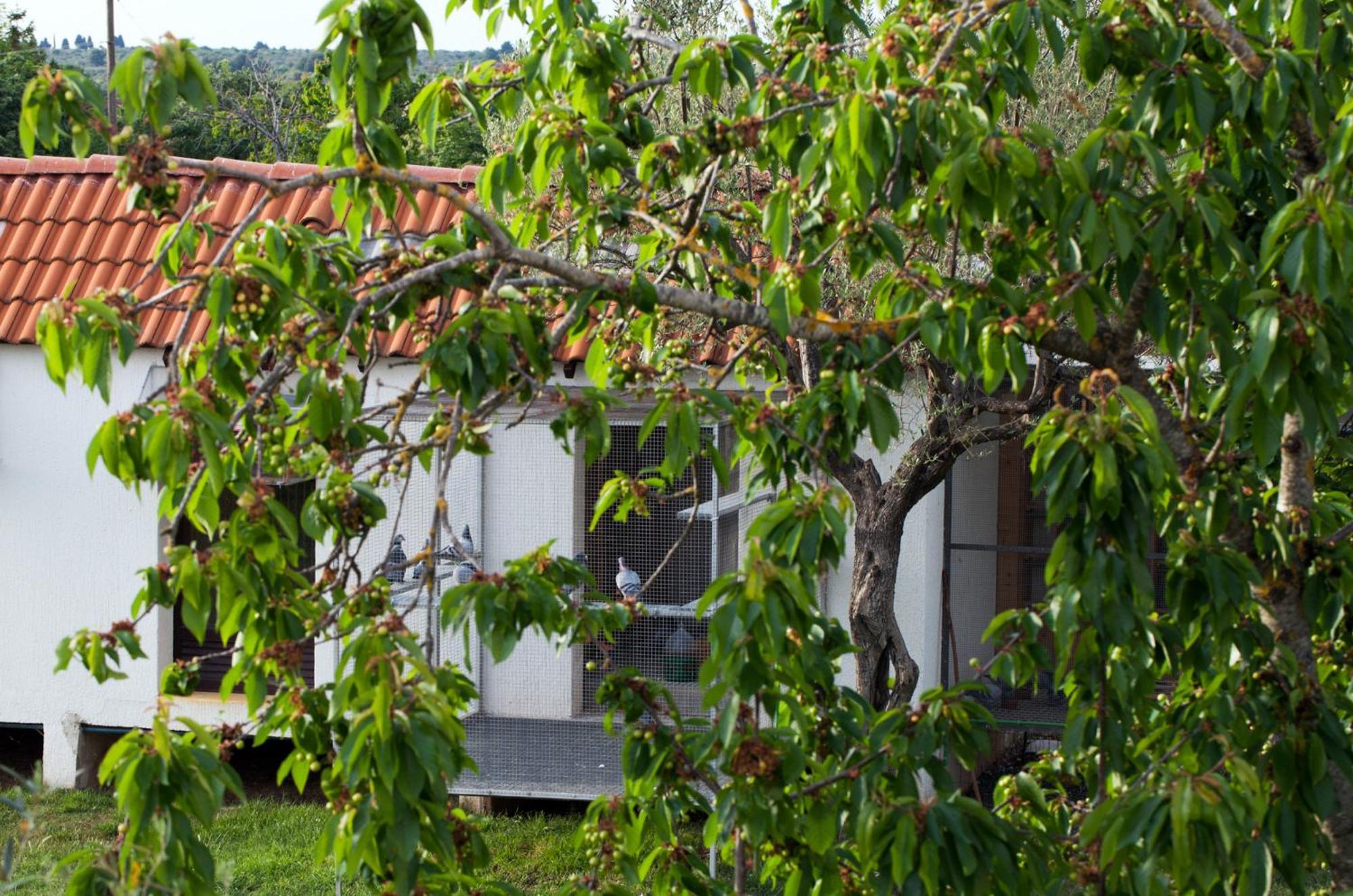 B&B Moderno Fažana Quarto foto